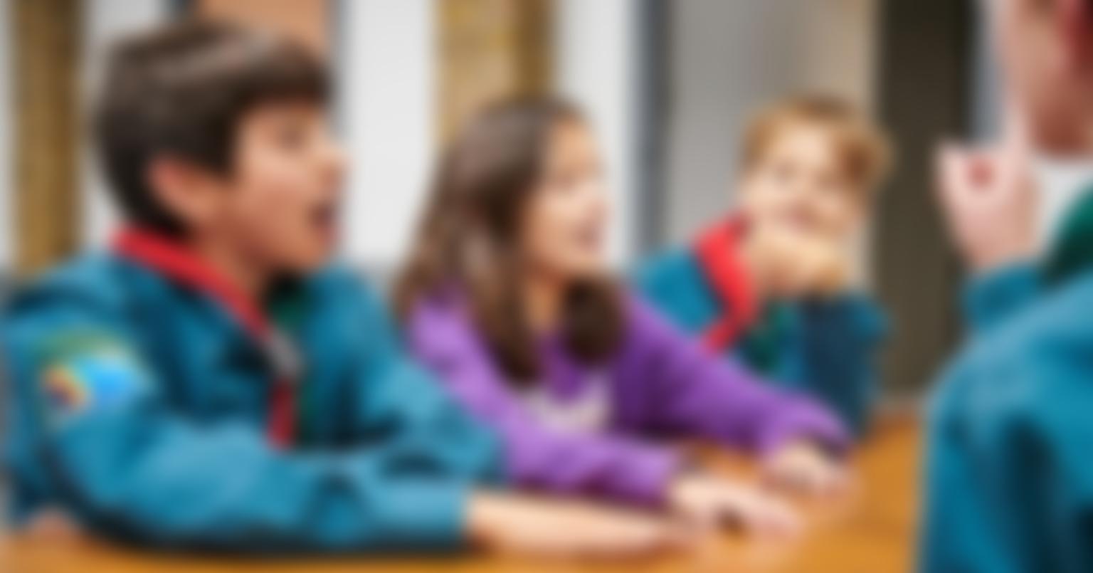 30Th Warrington (Penketh Methodist) Scout Group | Charici