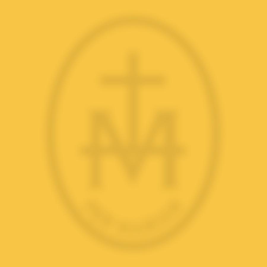 St Marys Rc High School Trust Fund | Charici