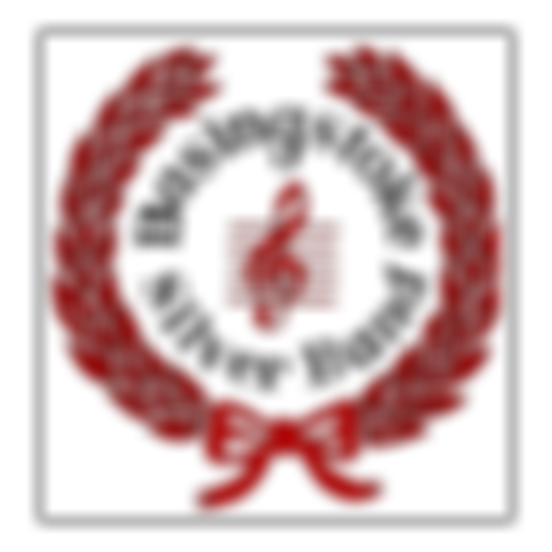 Basingstoke Silver Band | Charici