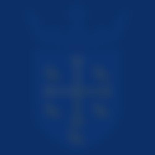 St. Edward's Rc Primary School Parents, Teachers And Friends Association | Charici