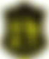 St Day Youth And Sports Association | Charici