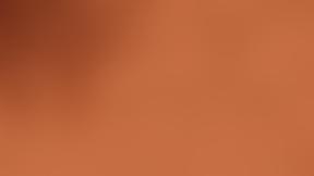 The Wulugu Project | Charici