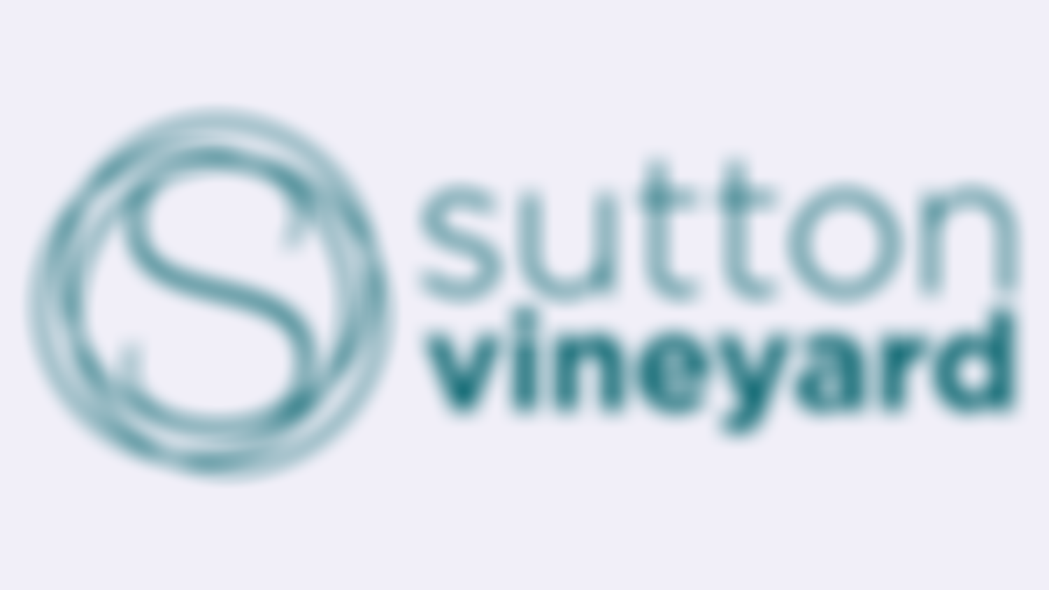 Sutton Vineyard | Charici