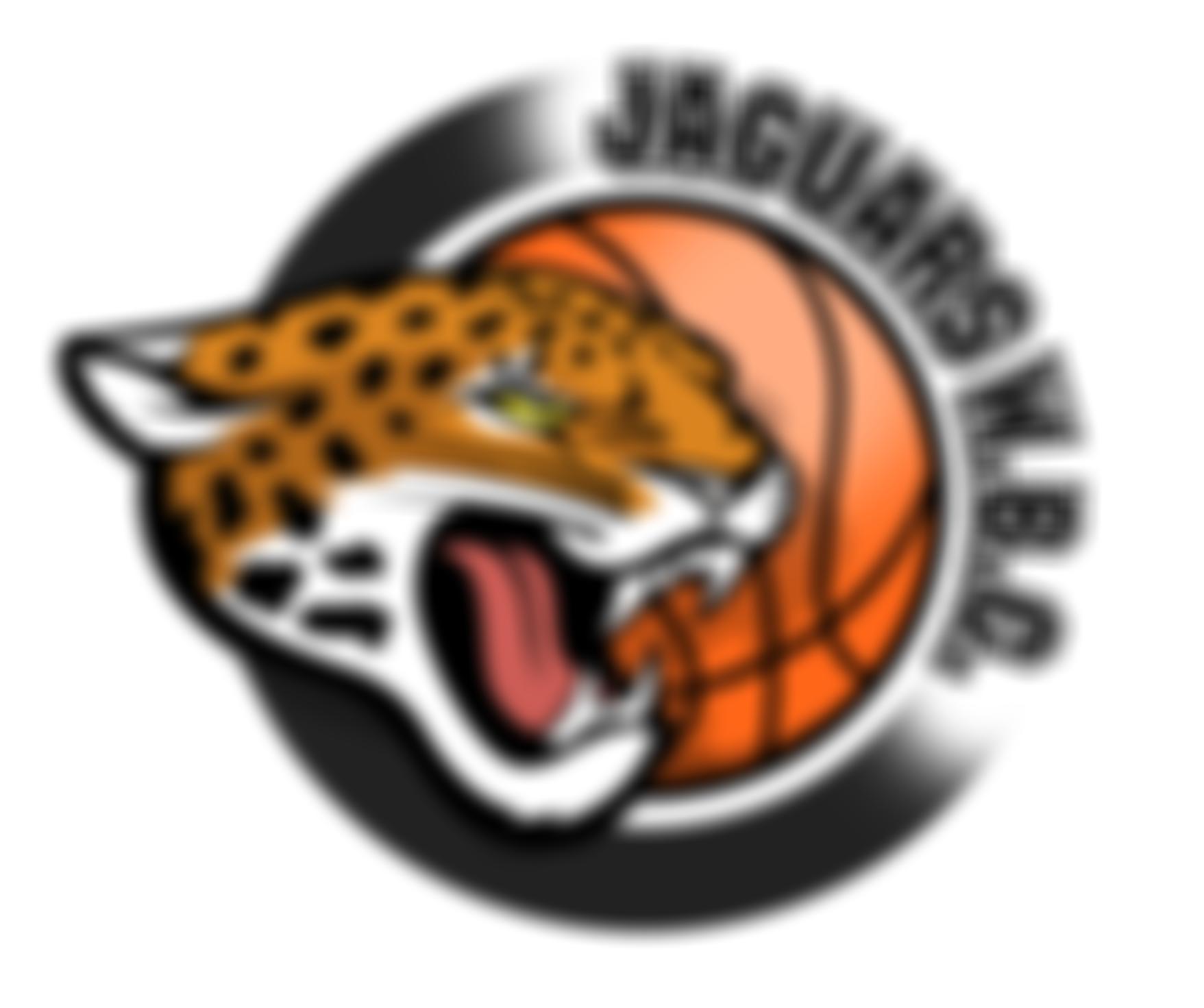 Jaguars Wheelchair Basketball Club | Charici