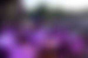 Aylesbury Concert Band | Charici