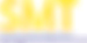 Safer Merthyr Tydfil Limited | Charici