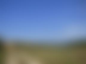 Community Action Romania | Charici