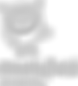 Southfield School Friends Association | Charici