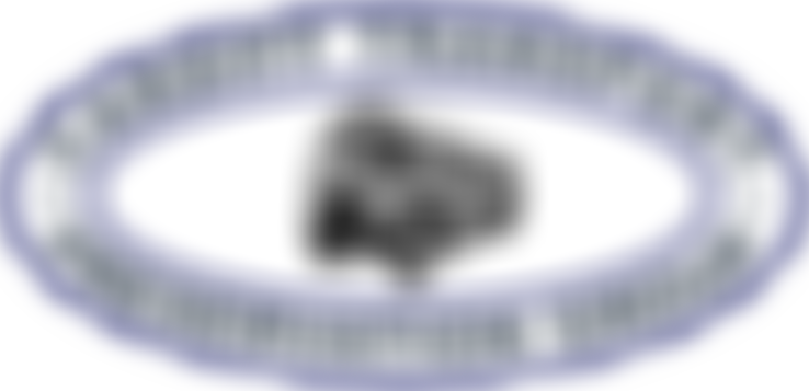 The Cardiff Transport Preservation Group | Charici