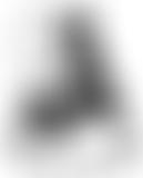 Friends Of The Priory Church Christchurch Dorset | Charici