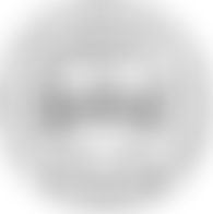 The Bridge Trust | Charici