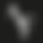 The Anderson Foundation | Charici