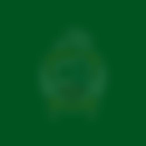 Ringwood School Parent Teacher Association | Charici