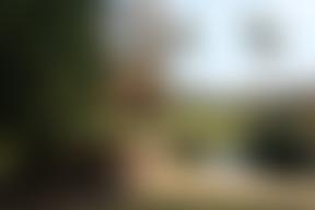 The Friends Of Dunorlan Park | Charici