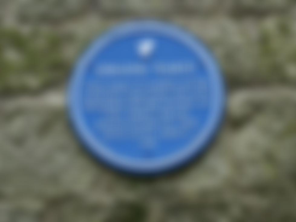 Swans Trust (Shaftesbury) | Charici