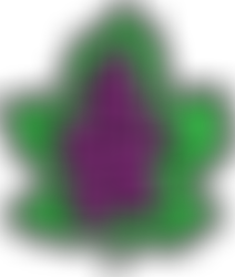 Kerem Schools | Charici