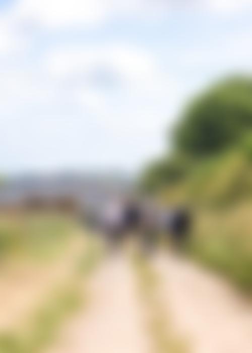 Stoke Sub Hamdon Sports And Recreation Trust | Charici