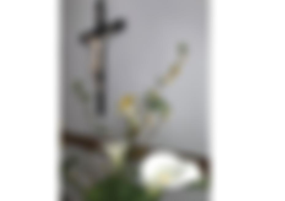 Faithful Companions Of Jesus | Charici