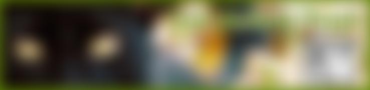 Cat Action Trust | Charici