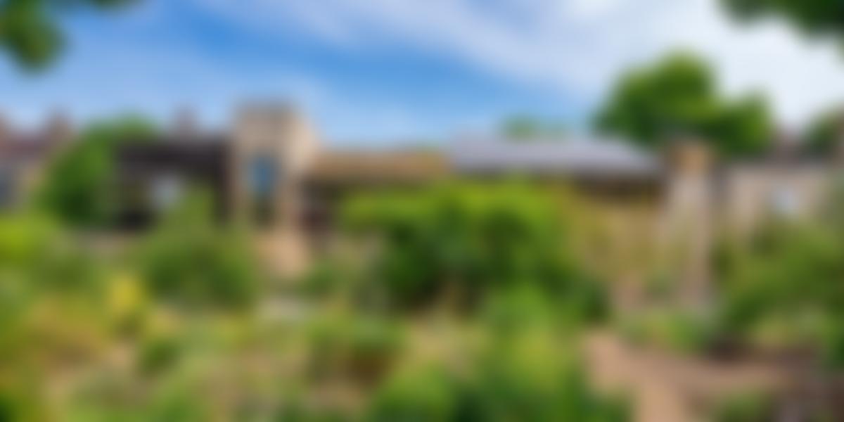 Roots And Shoots | Charici