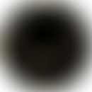 Mexborough And Swinton Astronomical Society | Charici