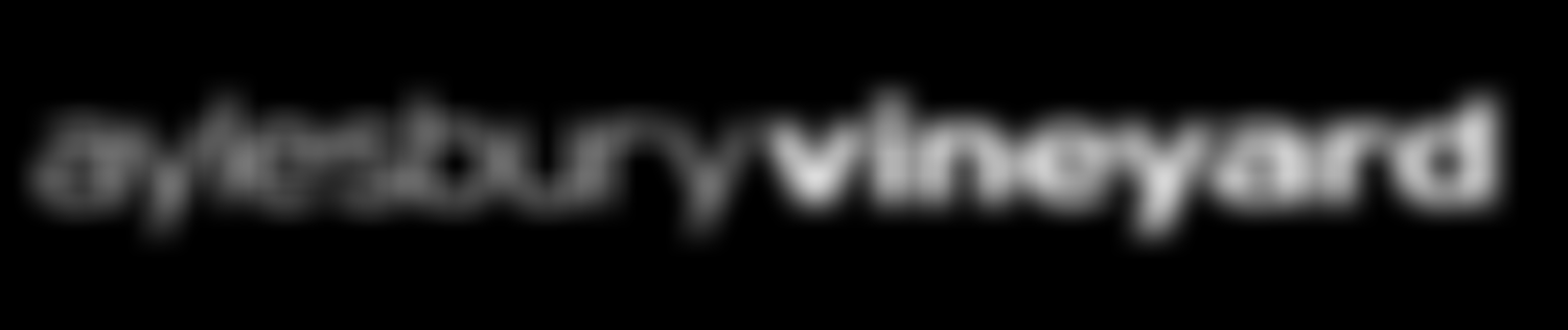 Aylesbury Vineyard Church | Charici