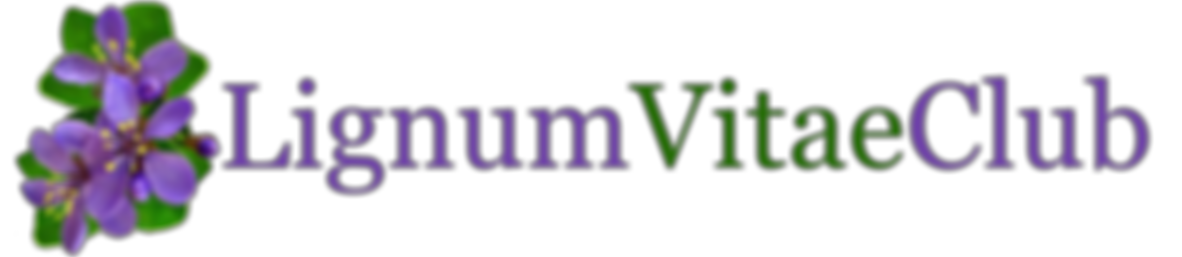 Lignum Vitae Club | Charici