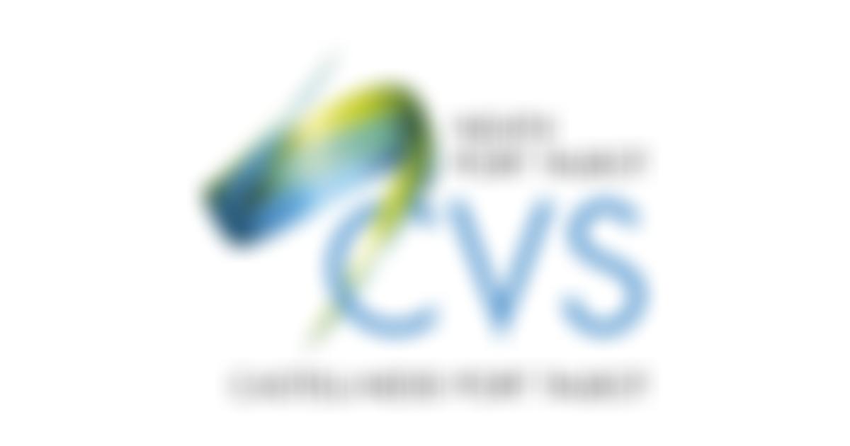 The Neath Port Talbot Community Voluntary Service Limited | Charici