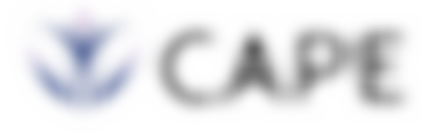 Community Activities Project Ealing (C.a.p.e.) | Charici