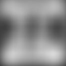 Coventry Cat Group | Charici