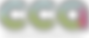 Christian Community Action Ministries | Charici