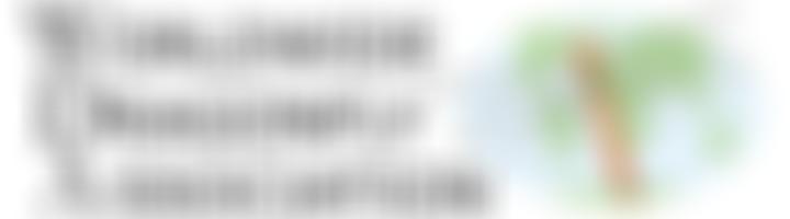 Worldwide Dragonfly Association | Charici