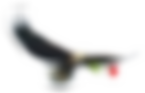 Dyslexia North West | Charici