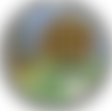 Charity Of Thomas Grimsby | Charici