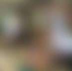 Great Linford Primary School Fund | Charici