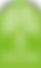 The Oak Tree Anglican Fellowship Trust | Charici