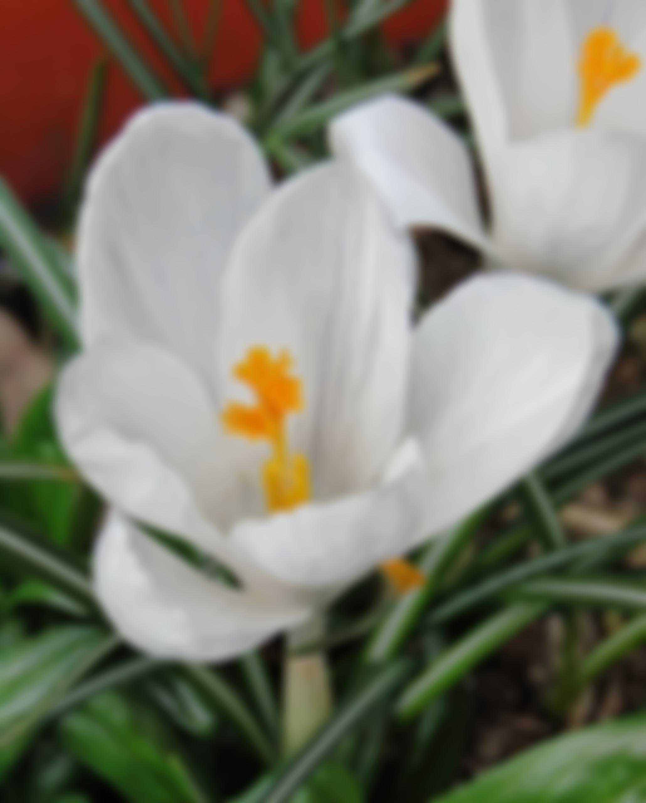 Stockport M.e. Group | Charici