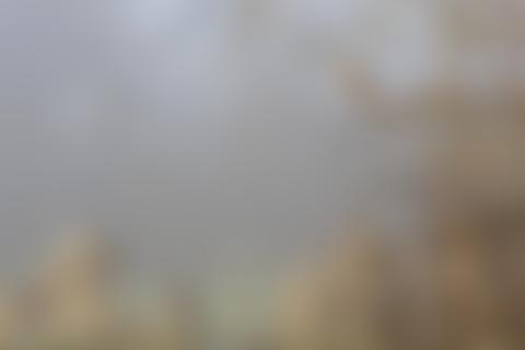 The Rollright Trust Limited | Charici