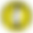 Cave Rescue Organisation | Charici