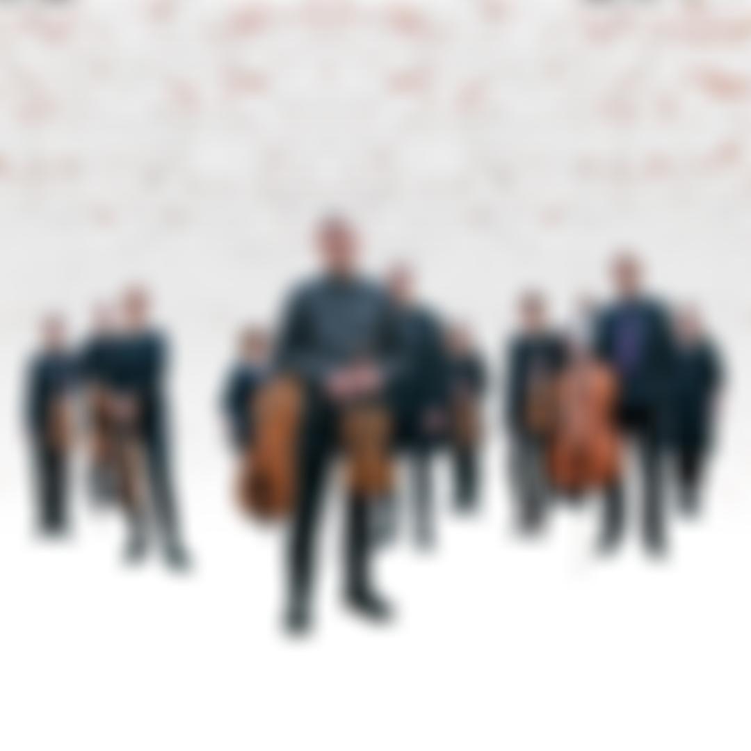 The Orchestra Of The Swan | Charici