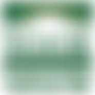 The Noor Foundation UK | Charici