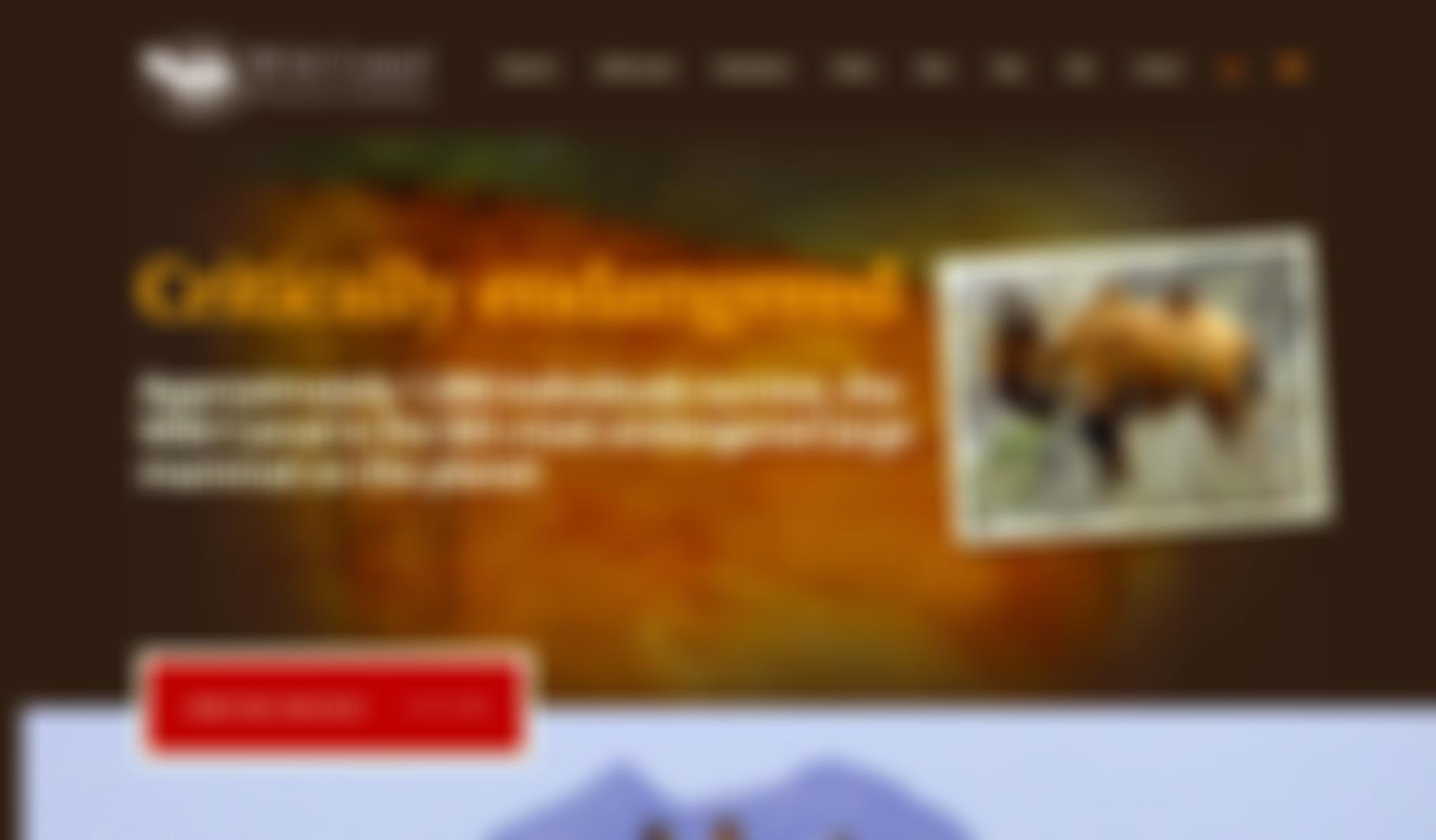 Wild Camel Protection Foundation | Charici