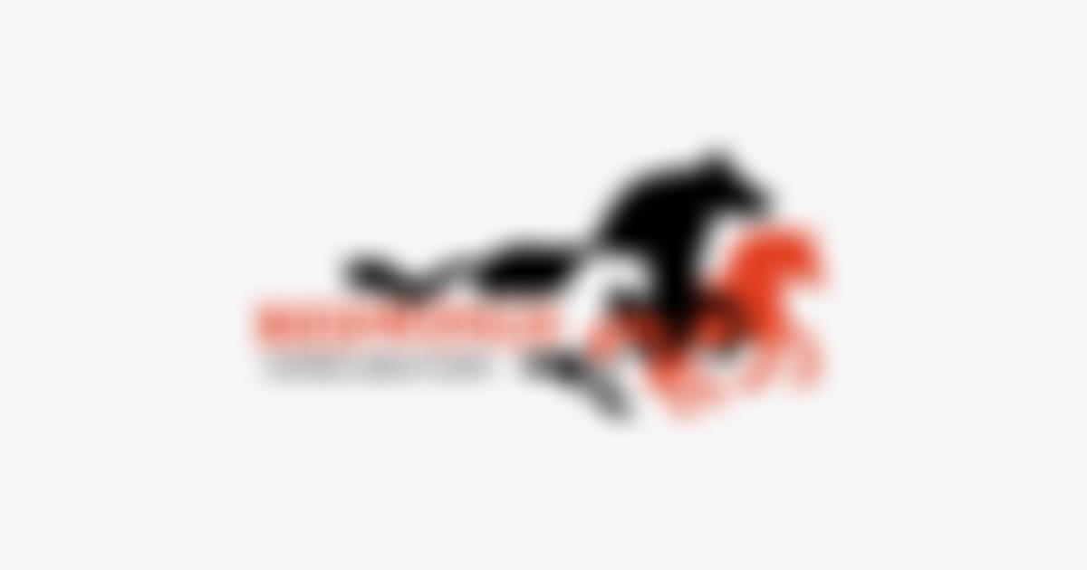 Redwings Horse Sanctuary | Charici