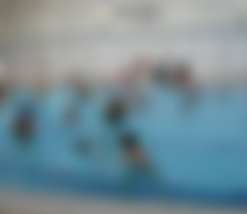 Sea Lion Swimming Club | Charici