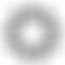 Spiritual Assembly Of The Baha'is Of Allendale | Charici