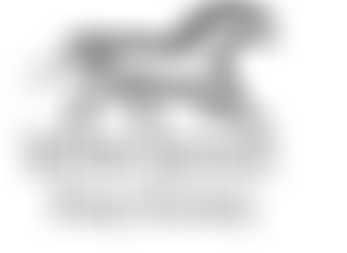 The British Spotted Pony Society Limited | Charici