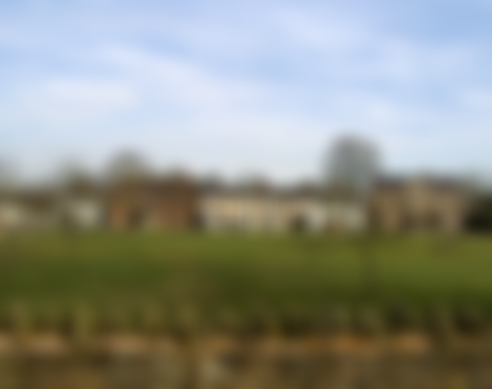 Kingsland Millennium Green | Charici