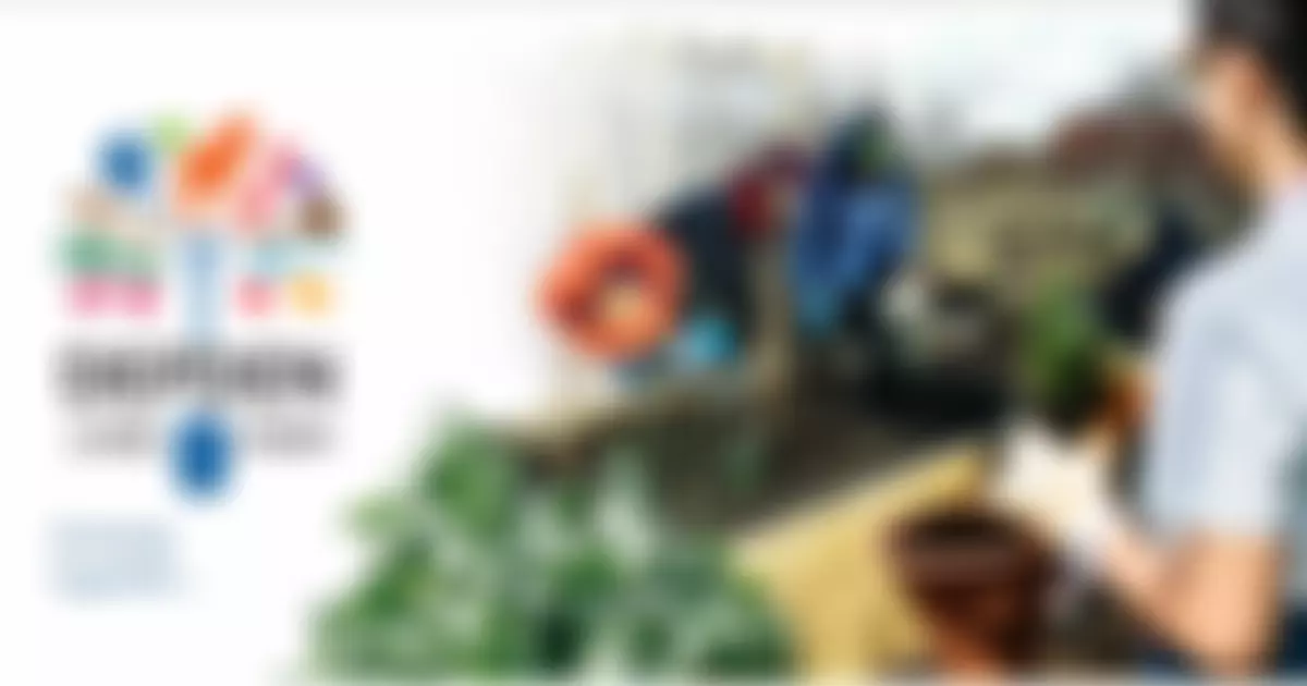 Millennium Farm Trust | Charici