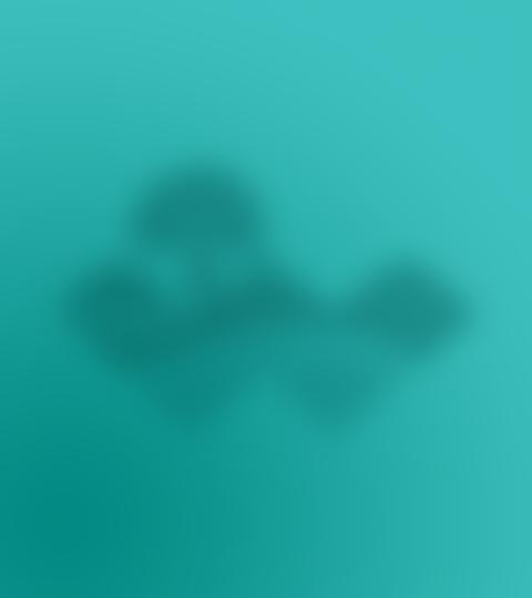 Friends Of Morley Meadow Primary | Charici