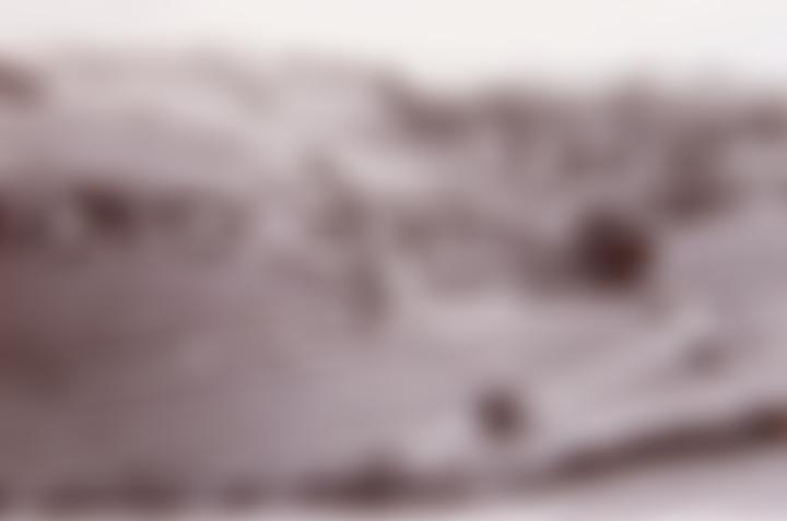 Naunton Dovecote Trust | Charici